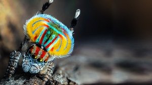 undefined Images